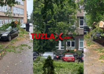 Posljedice nevremena: Oboreno stablo ispred zgrade RGGF u Tuzli