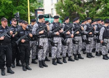 Izmjena zakona: Veće ovlasti policajcima u TK putem upotrebe spreja za onesposobljavanje