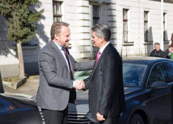 Bakir uvodi povjereništva u općinske odbore za koje sumnja da bi mogli dati podršku Mehmedoviću?