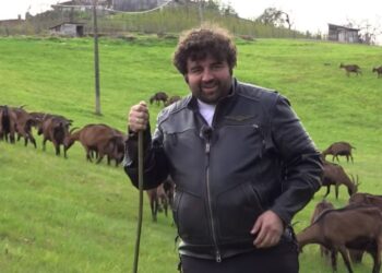 Srbijanski glumac Branko Janković napustio grad: Živi na selu s 1.800 koza (VIDEO)