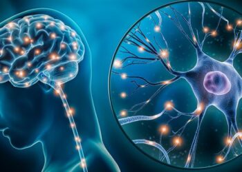 Španski neurobiolog tvrdi: Gojaznost nije bolest tijela, već bolest mozga