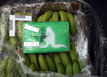Firmi iz Širokog Brijega ‘greškom’ isporučen kokain u bananama