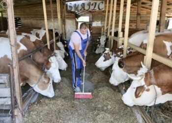 Tuzlanski farmeri u problemu: Konstantne kiše i nepravedna raspodjela sa federalnog nivoa…