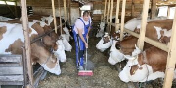 Tuzlanski farmeri u problemu: Konstantne kiše i nepravedna raspodjela sa federalnog nivoa…