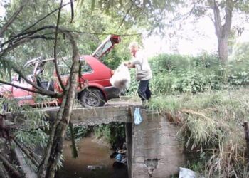 Kalesija: Vozačica Golfa bacala vreće animalnog otpada u rijeku (VIDEO)