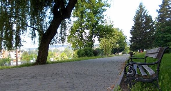 Grad Tuzla: Oformljen radni tim za kontrolu i procjenu stanja drveća u gradu Grad Tuzla: Oformljen radni tim za kontrolu i procjenu stanja drveća u gradu