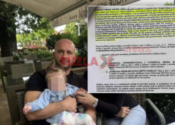 Objavljujemo dokument: Evo šta je policija dostavila Sudu tražeći da se Nizama zaštiti od nasilnika