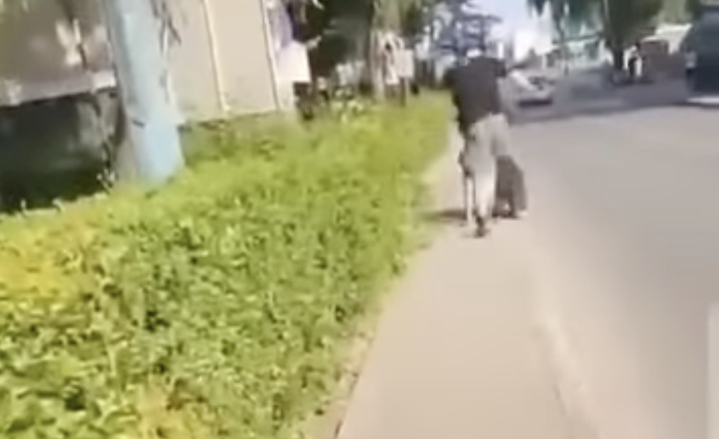 Snimak zlostavljanja građana na Ilidži od strane graničnog policajca Snimak zlostavljanja građana na Ilidži od strane graničnog policajca
