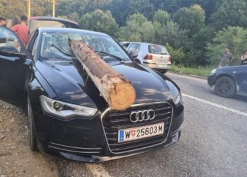 Samo u BiH: Balvan skliznuo sa kamiona i  uletio direktno u automobil u toku vožnje