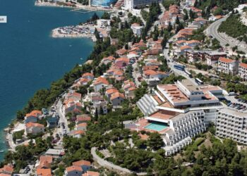 Poznati Tuzlanski lopov uhvaćen dok je krao po Neumu.