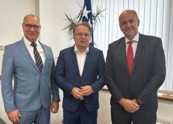 Sastanak Nermina Nikšića i Zijada Lugavića