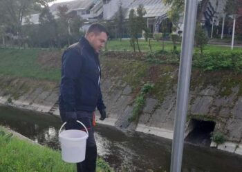Počelo provođenje preventivne deratizacije na području grada Tuzle