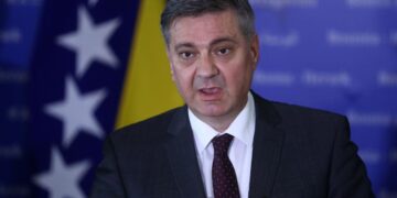 Zvizdić: Odlučuje se o novom svjetskog poretku, BiH mora realizirati dva najveća vanjskopolitička cilja