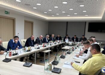 Održana 30. sjednica Izvršnog odbora N/FS BiH