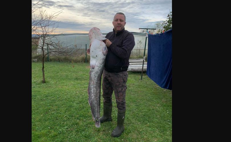 Spektakularni ulov u Dubravama kod Gradiške: Konobar Nedžad Kovačević uhvatio soma od 25 kilograma Spektakularni ulov u Dubravama kod Gradiške: Konobar Nedžad Kovačević uhvatio soma od 25 kilograma